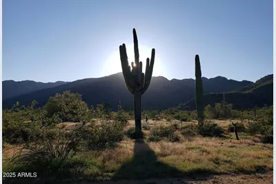19414 W San Juan Avenue, Litchfield Park, AZ 85340 - Photo 5