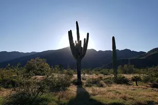 19414 W San Juan Ave, Litchfield Park, AZ 85340 - Photo 5