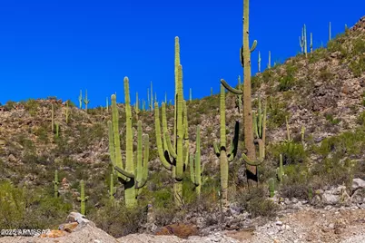14124 N Tortolita Estates Drive #-, Tucson, AZ 85755 - Photo 11