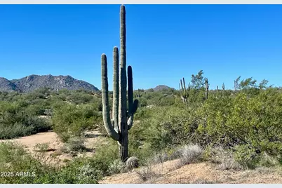 356Xx N 142nd Place #-, Scottsdale, AZ 85262 - Photo 1