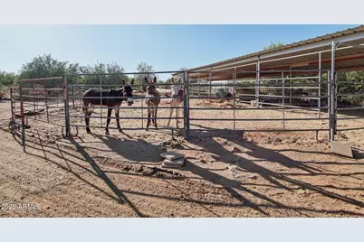 30108 N 163rd Place, Scottsdale, AZ 85262 - Photo 37