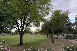 7262 W Firebird Dr, Glendale, AZ 85308 - Photo 47