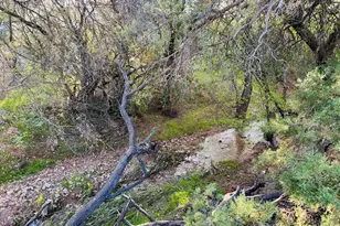 4035 E Goldmine Rd, Rimrock, AZ 86335 - Photo 29