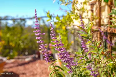 1665 S Mountain View Road, Cornville, AZ 86325 - Photo 37