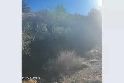 Xx Black Peak Road #90, Globe, AZ 85501 - Photo 1
