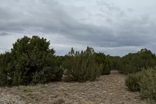 55 Acr 8050 --, Concho, AZ 85924 - Photo 1