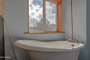 4933 Sawmill Rd, Clay Springs, AZ 85923 - Photo 13