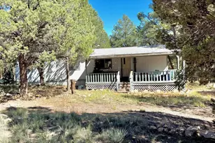 3527 Broken Arrow Rd, Overgaard, AZ 85933 - Photo 7