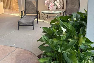 14253 N Honeysuckle Dr, Fountain Hills, AZ 85268 - Photo 27