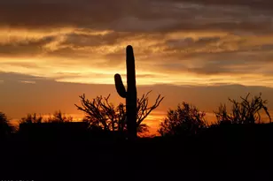 10909 E Quarry Trail, Scottsdale, AZ 85262 - Photo 37