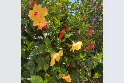 6127 W Donald Drive, Glendale, AZ 85310 - Photo 71