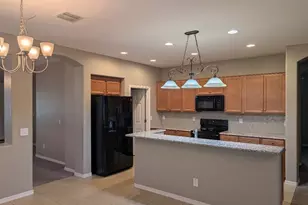 859 W Sisso Tree Ave, San Tan Valley, AZ 85140 - Photo 7