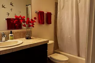 2572 N 165th Dr, Goodyear, AZ 85395 - Photo 9