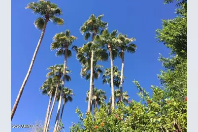 10424 N 11th Place #2, Phoenix, AZ 85020 - Photo 37