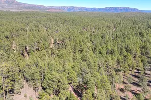 287 S Lookout Trail, Payson, AZ 85541 - Photo 31