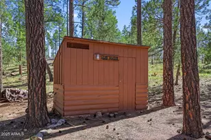 287 S Lookout Trail, Payson, AZ 85541 - Photo 11