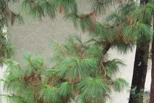 7625 E Camelback Rd, Scottsdale, AZ 85251 - Photo 21