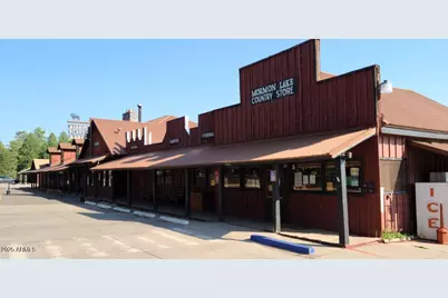 867 Crestview Drive, Mormon Lake, AZ 86038 - Photo 49