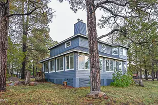 867 Crestview Dr, Mormon Lake, AZ 86038 - Photo 47