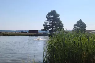 867 Crestview Dr, Mormon Lake, AZ 86038 - Photo 57