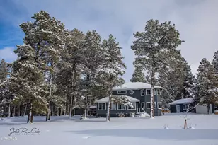 867 Crestview Dr, Mormon Lake, AZ 86038 - Photo 3