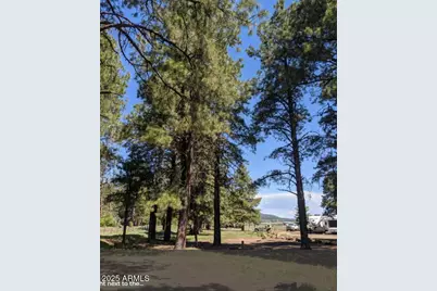 867 Crestview Drive, Mormon Lake, AZ 86038 - Photo 55