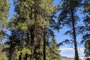 867 Crestview Dr, Mormon Lake, AZ 86038 - Photo 55