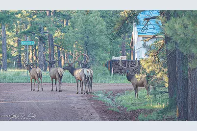 867 Crestview Drive, Mormon Lake, AZ 86038 - Photo 73