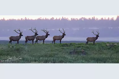 867 Crestview Drive, Mormon Lake, AZ 86038 - Photo 69