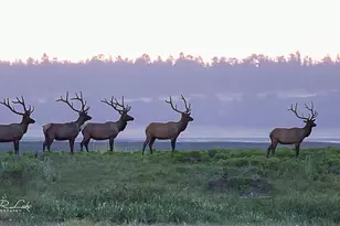 867 Crestview Dr, Mormon Lake, AZ 86038 - Photo 69