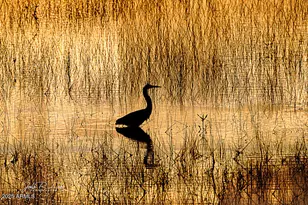 867 Crestview Dr, Mormon Lake, AZ 86038 - Photo 71