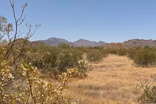 0 W Wildwood 4 Rd, Maricopa, AZ 85138 - Photo 1