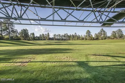 2710 E Coyote Mint Circle, Payson, AZ 85541 - Photo 87