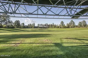 2710 E Coyote Mint Cir, Payson, AZ 85541 - Photo 87