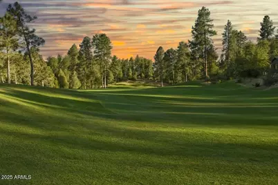 2710 E Coyote Mint Circle, Payson, AZ 85541 - Photo 97