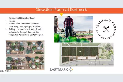 4456 S Ozone --, Mesa, AZ 85212 - Photo 5