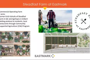 4456 S Ozone, Mesa, AZ 85212 - Photo 5