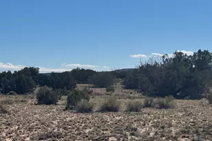 Lor 736 Woodland Valley Ranch --, Saint Johns, AZ 85936 - Photo 1