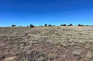 0 Dozer --, Ash Fork, AZ 86320 - Photo 1