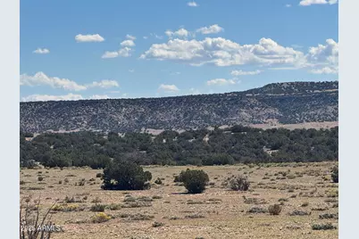 Lot 746 Woodland Valley Ranch -- #746, Saint Johns, AZ 85936 - Photo 5