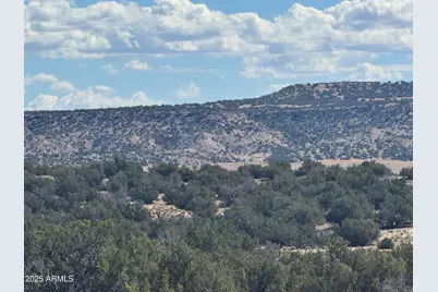 Lot 746 Woodland Valley Ranch -- #746, Saint Johns, AZ 85936 - Photo 11