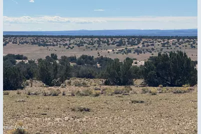 Lot 746 Woodland Valley Ranch -- #746, Saint Johns, AZ 85936 - Photo 7