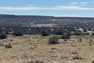 Lot 746 Woodland Valley Ranch --, Saint Johns, AZ 85936 - Photo 1