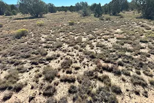 1381 W Isabella Ln, Ash Fork, AZ 86320 - Photo 1