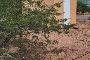 399 S Ewing Trail, Tonto Basin, AZ 85553 - Photo 101