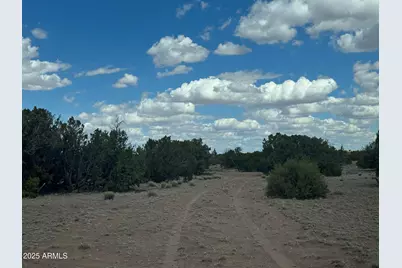 Lot 131 Elk Valley Ranch -- #131, Saint Johns, AZ 85936 - Photo 9