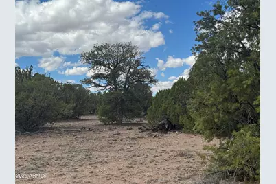 Lot 131 Elk Valley Ranch -- #131, Saint Johns, AZ 85936 - Photo 5