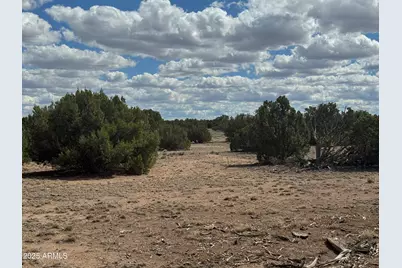 Lot 131 Elk Valley Ranch -- #131, Saint Johns, AZ 85936 - Photo 3