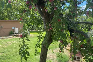 463 E Cocktail Trl, Camp Verde, AZ 86322 - Photo 59