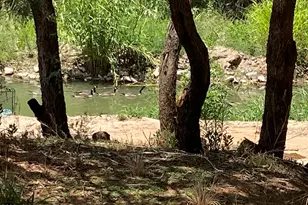 463 E Cocktail Trl, Camp Verde, AZ 86322 - Photo 61